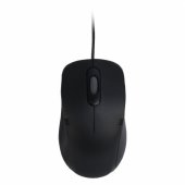 Eterno M-3026