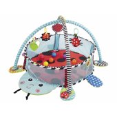 Ladybug Educational Mat Playpen Balls For Baby