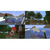 Minecraft for NSW