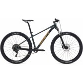 Talon 2 29" Asphalt Green (XL)