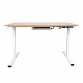 Desk ERGO with 1 motor 120x60xH73-121cm, white/ oak