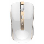 MS951GT White/ Gold