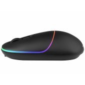 RATERO RF 2.4 Ghz black mouse