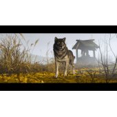 Ghost of Yotei Collector®s Edition PS5