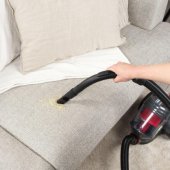 BEL0700TBVDE Compact Pet Plus