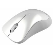 CNE-CMSW11PW Pearl White/ Gray