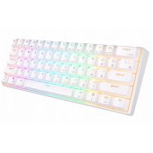 RK61 White Blue Switch (EN)