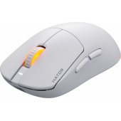 HTM-731 Quasar 3