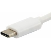 133461 USB-C White
