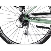 28" Wagant 5 (2023) 23" / XL Green