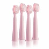 Harmony 4pcs Rose