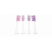 Aurum Rose 4pcs