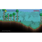 Terraria PS4