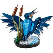 10331 Kingfisher Bird