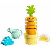Growing Carrot 10981