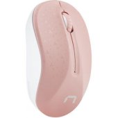 Toucan Pink/ White