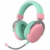 CH351 Green/ Pink