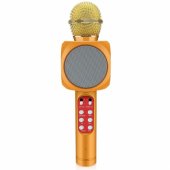 WS-1816 16W karaoke BT microphone with LED 360 Gold