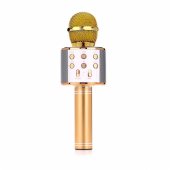 MIC10-G Gold