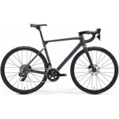 Scultura 7000 V3 dark grey/ purple L