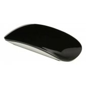 WTM1 black
