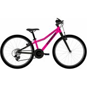 Superlight 20 Pink
