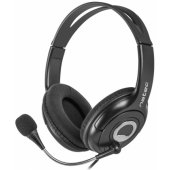 Bear 2 Black