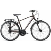Wagant 7 2025 19"/ M Dark Brown/ Grey