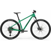 Big.Nine 400 IV1 silk dandelion green/ black L