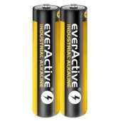 EVLR03S2IK Industrial Alkaline LR03 AAA 40pcs