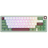 R65 Green Blue Switch (EN)