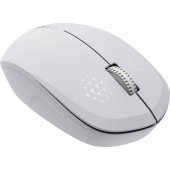 MW-04 White