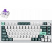 Q1 HE 75% Magnetic Switch Shell White