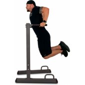 Freestanding Parallel Bars Power Tower PT050