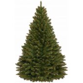 CT0081 180cm