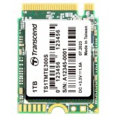 300S 1TB TS1TMTE300S