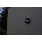 LOTUS 8.5W LED