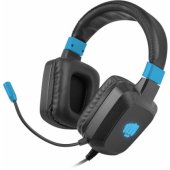 Fury Raptor Black/ Blue