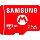 Micro SDXC 256GB 10016156