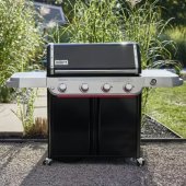 Genesis EX-425W