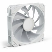 SHARK Mirror RGB white