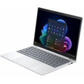 EliteBook 8 G1a 13.3 WUXGA 350 16GB 512SSD EN W11P Silver