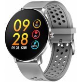 SW-171 Gray/ Silver