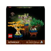 10373 Mini Bonsai Trees