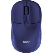 24796 Primo Blue
