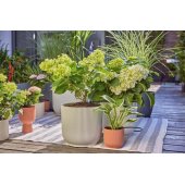 GARDENA Micro-Drip-System Drip Irrigation Set Terrace, 30 plants, drip