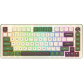 K681CGC-RGB-PRO Cyrus (EN)
