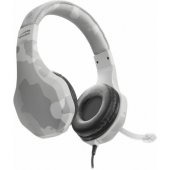 Raidor PS4 White