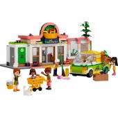 Organic Grocery Store 41729