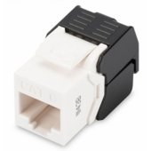 DN-93603 CAT6 Module